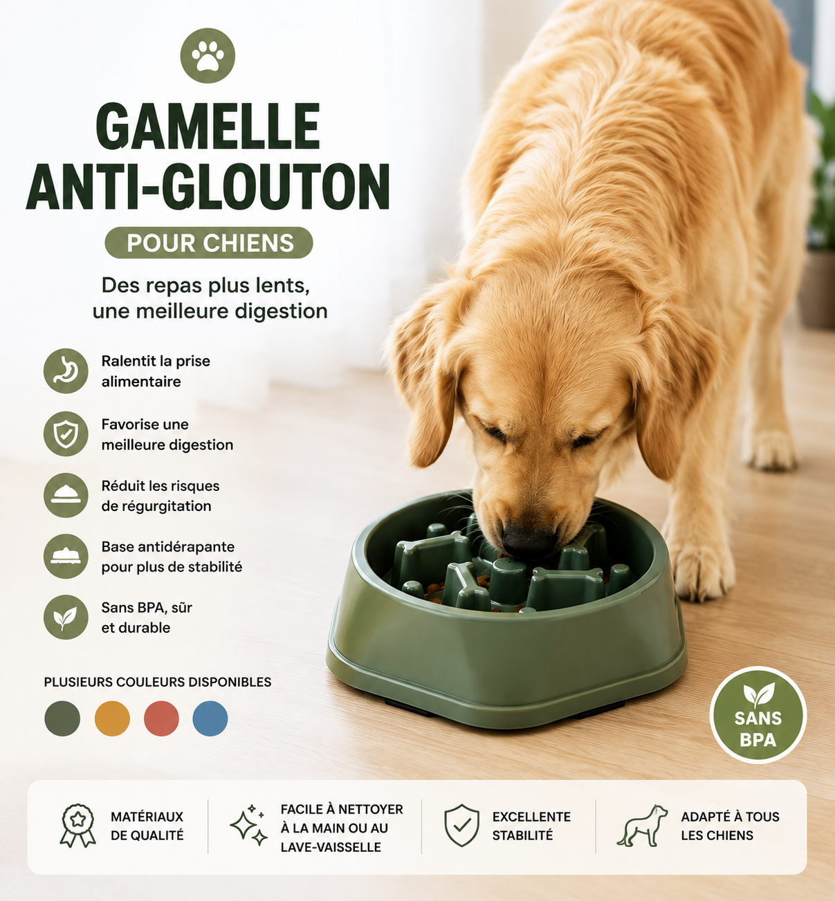 🐶 Gamelle Anti-Glouton Premium pour Chien